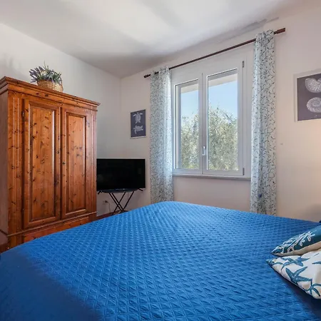 فيلة Anna Messina